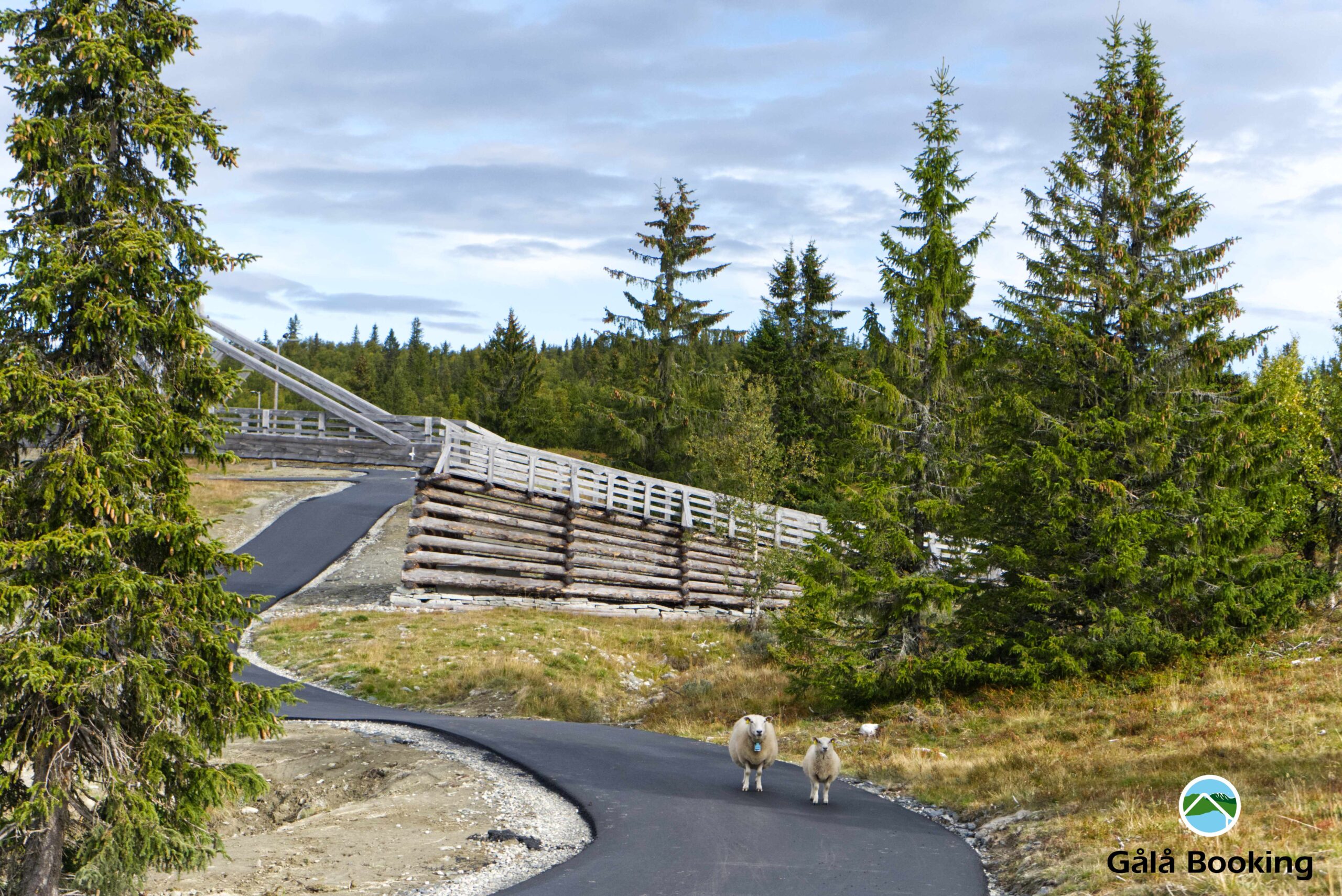 Rulleskiløype på Gålå