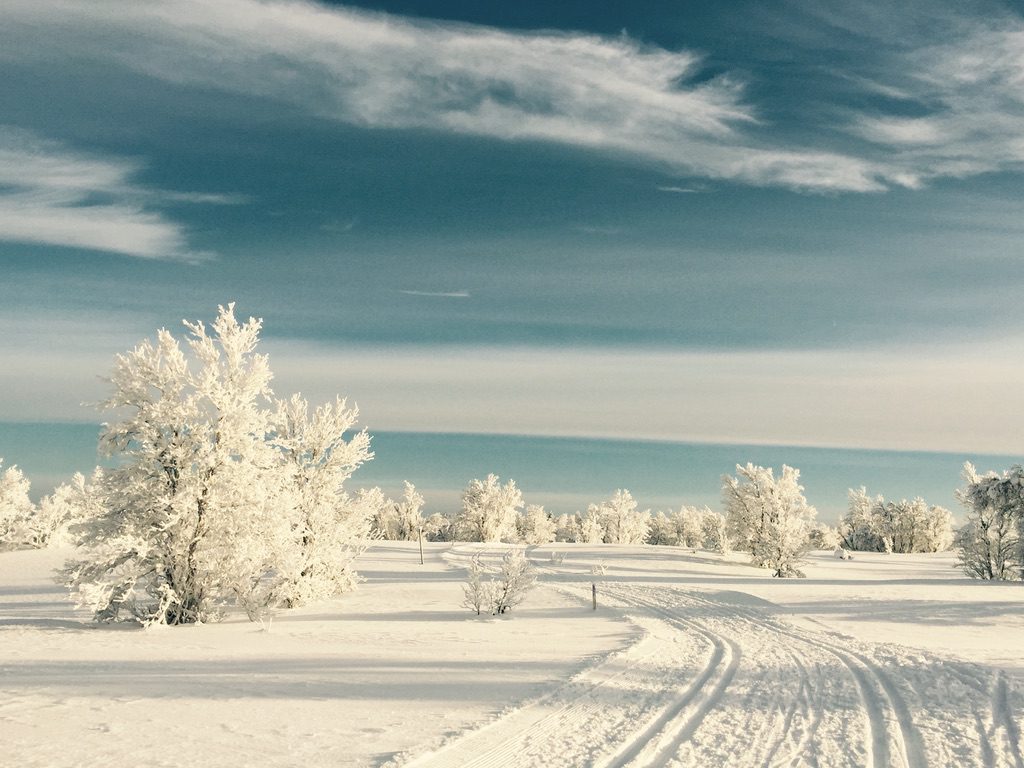 Gålå's cross-country ski trails