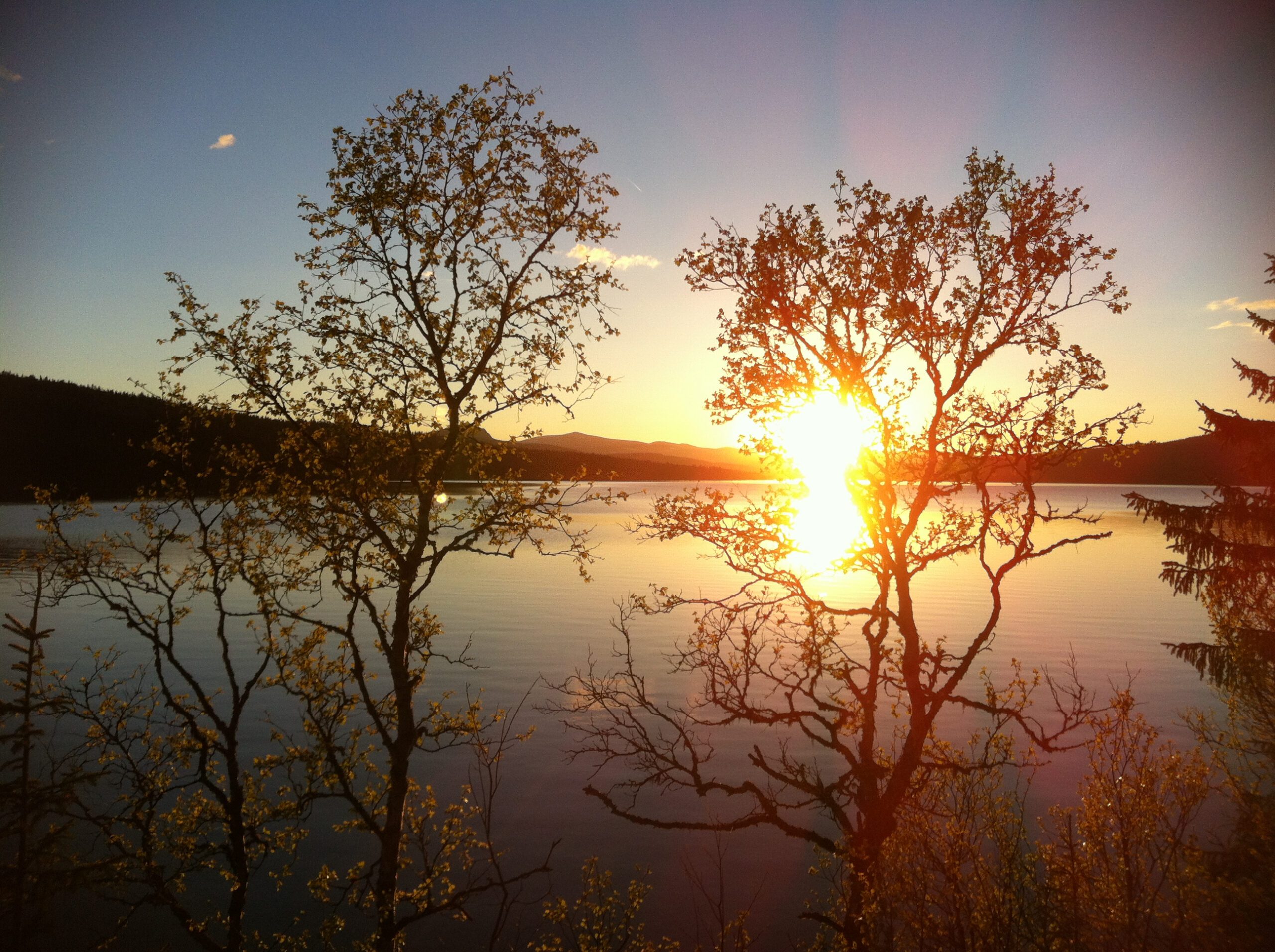 Gålå sommer