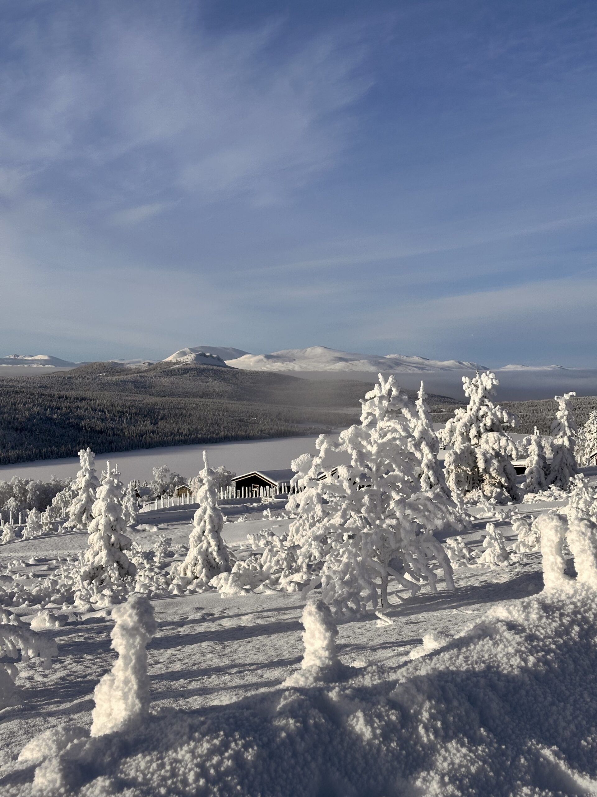 Gålå Booking | vinterutsikt Jotunheimen Feforkampen