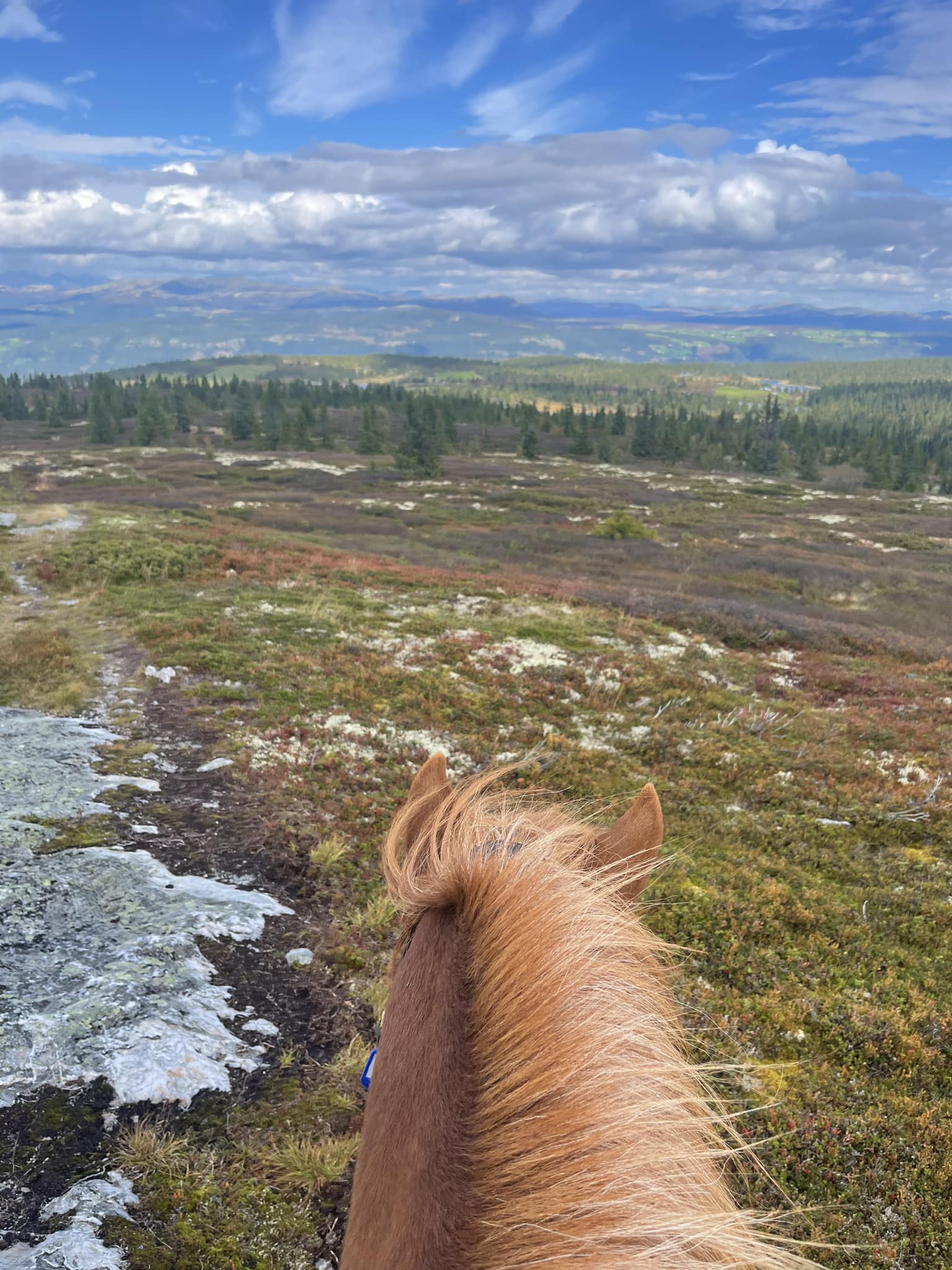 Horseback riding Gålå