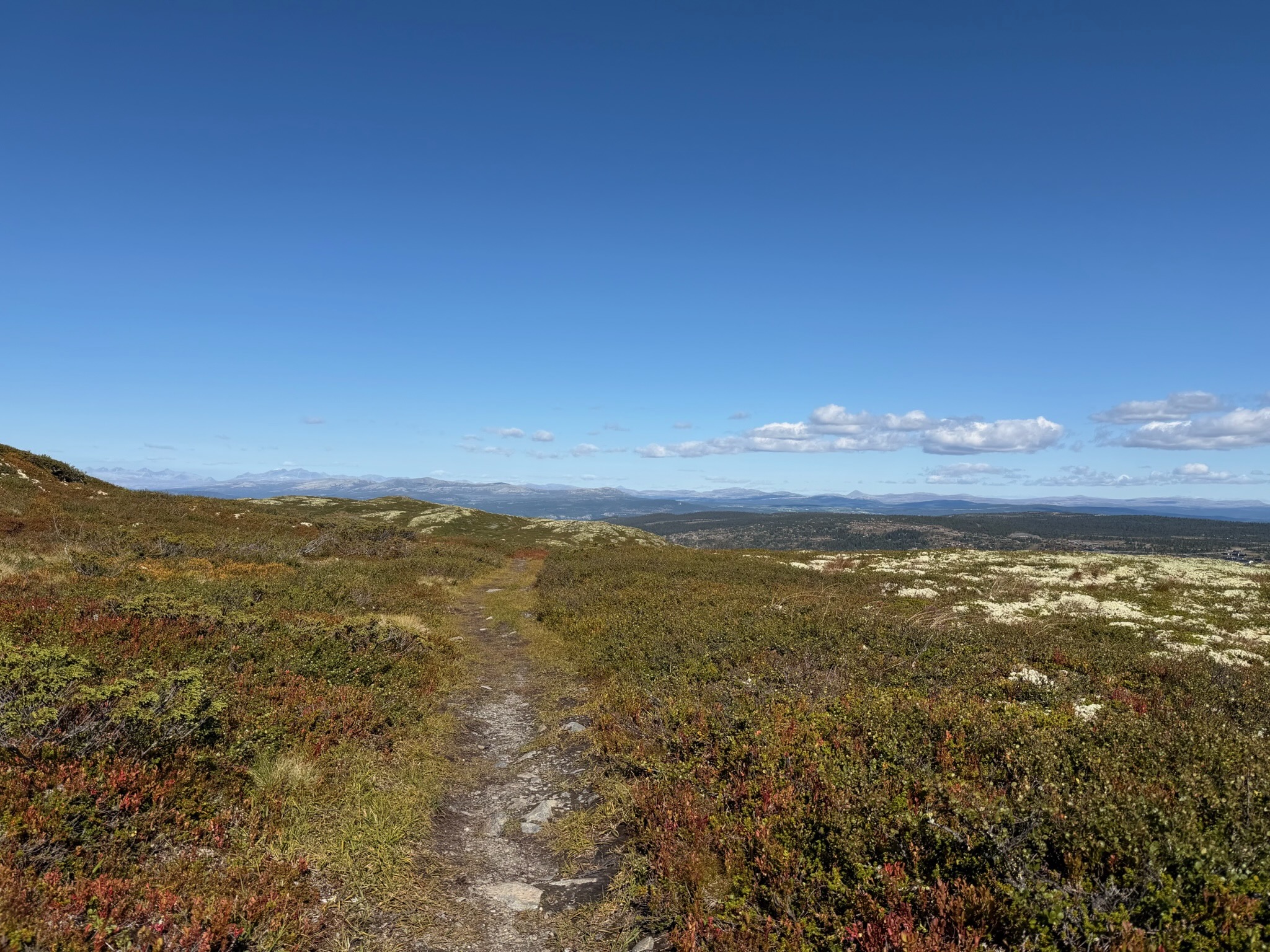 Langrennsløper på ski på Gålå med fjell i bakgrunnen